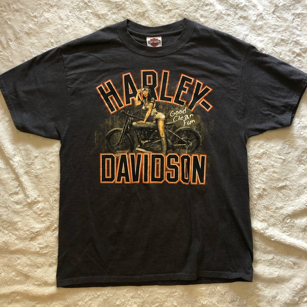 Harley Davidson Motorcycle - McGuire Walnut Creek, CA - Large